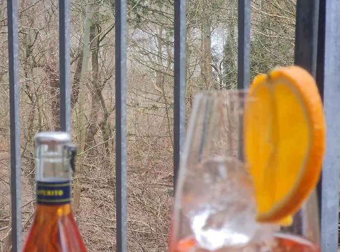 Penthouse In Am Wasser + Parken + Wlan + Netflix +kamin * فيلداو